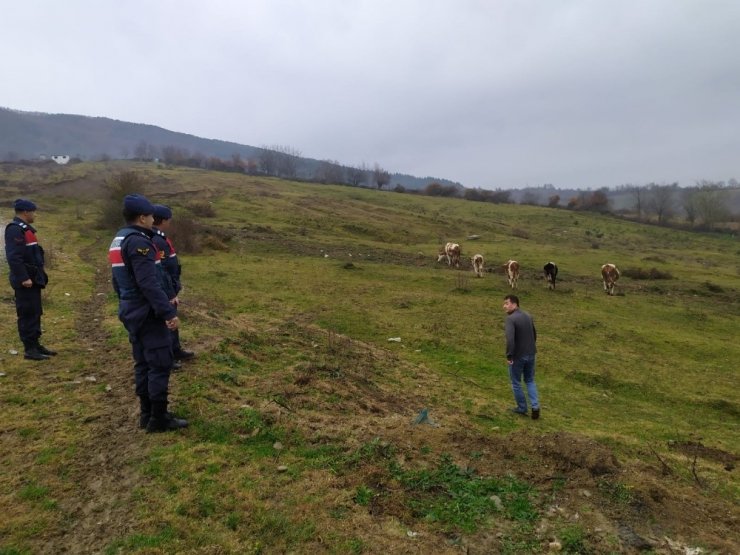 Kaybolan hayvanlarına jandarma sayesinde kavuştular