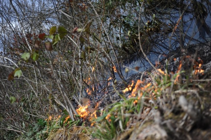 Giresun’da 4 noktada örtü yangınları devam ediyor