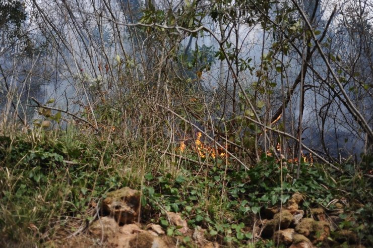Giresun’da 4 noktada örtü yangınları devam ediyor