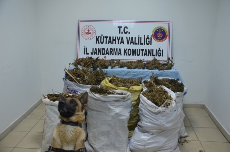 Cezaevindeki hükümlünün evinde kurutulmaya bırakılmış uyuşturucu bulundu