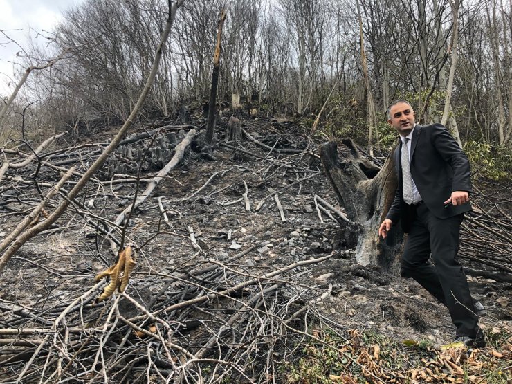 Ordu'da 22 noktada çıkan orman ve örtü yangınları