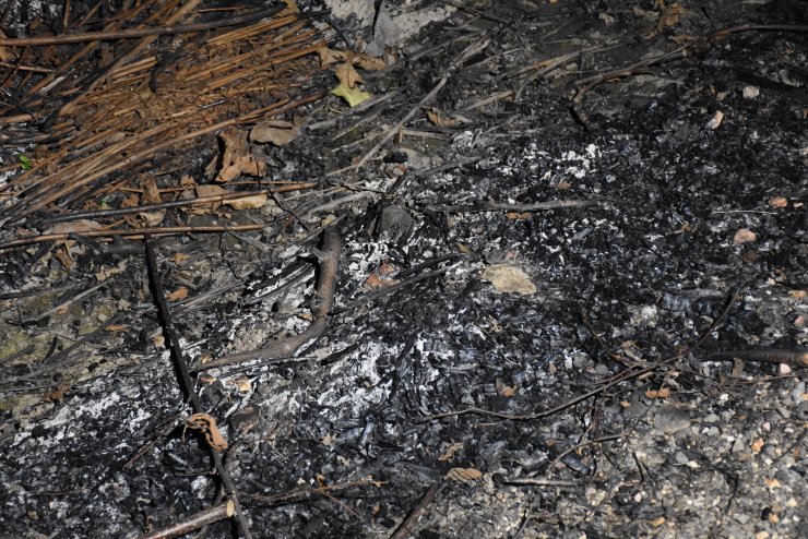 Ordu'da fındık arazisi ve ormanda çıkan yangınlar kontrol altına alındı