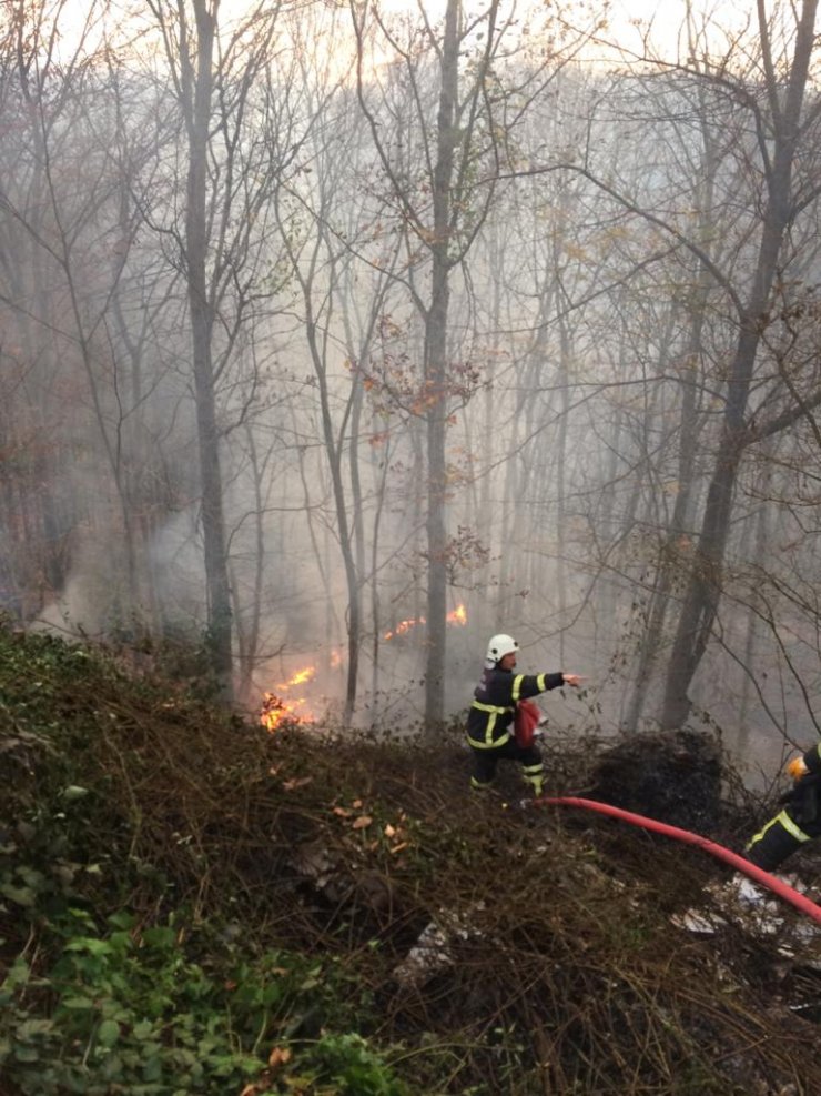 Ordu'daki örtü ve orman yangınları söndürüldü