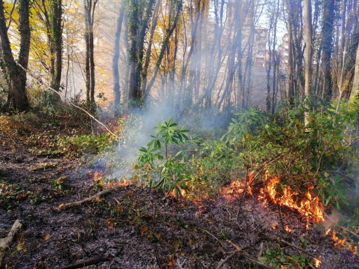 Ordu'daki örtü ve orman yangınları söndürüldü