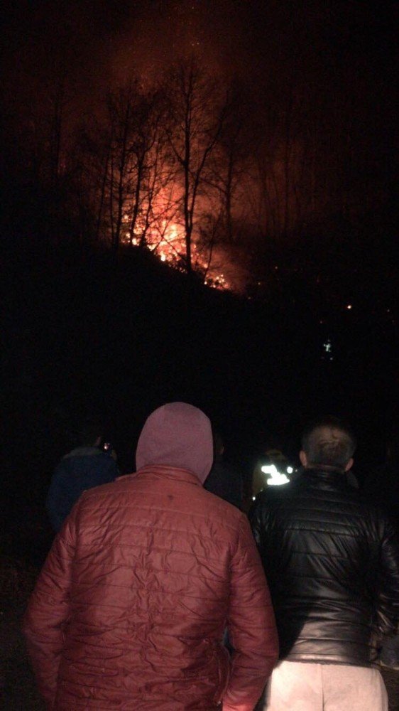 Çatalpınar’da orman yangını