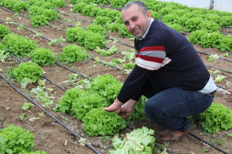 Beypazarı'nda Genç Çiftçi Projesi başarısı
