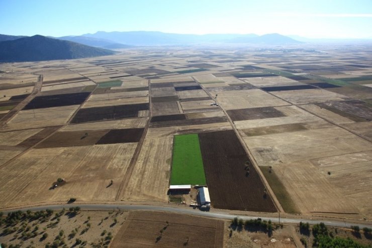 Bir yıl içinde iki ilde 34 bin 444 dekar arazi toplulaştırıldı