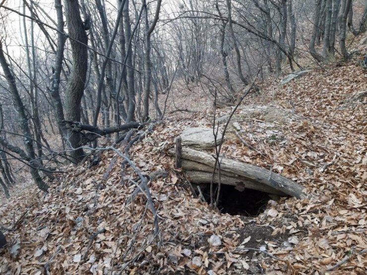 Bitlis’te “Kıran-8 Örenlik ve Kısıklı” operasyonları