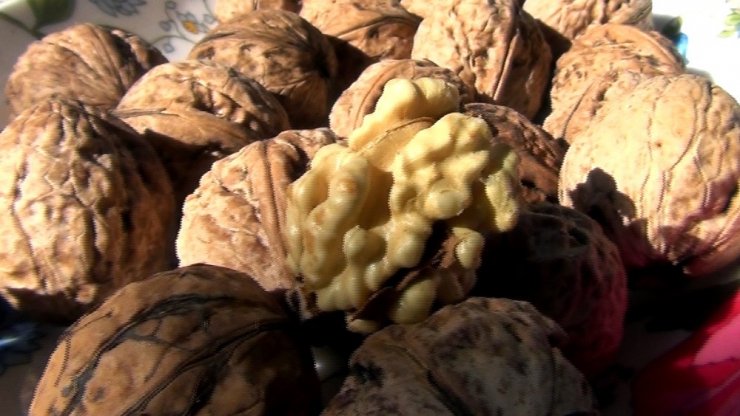 Oğuzlar cevizi coğrafi işaret tescili aldı