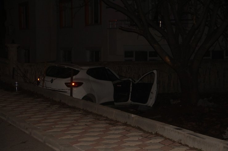 Elazığ’da otomobil bahçeye uçtu: 2 yaralı