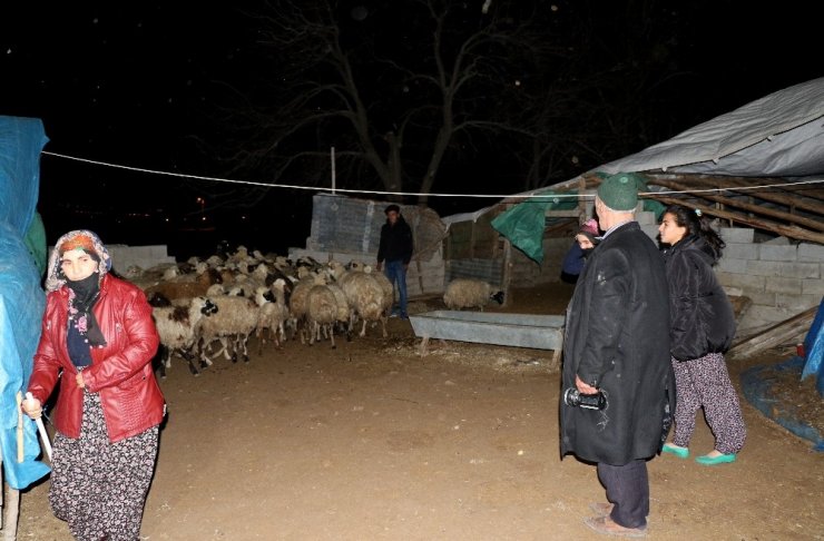 Erzincan’da fırtına çatıları uçurdu, ağaçları kökünden söktü