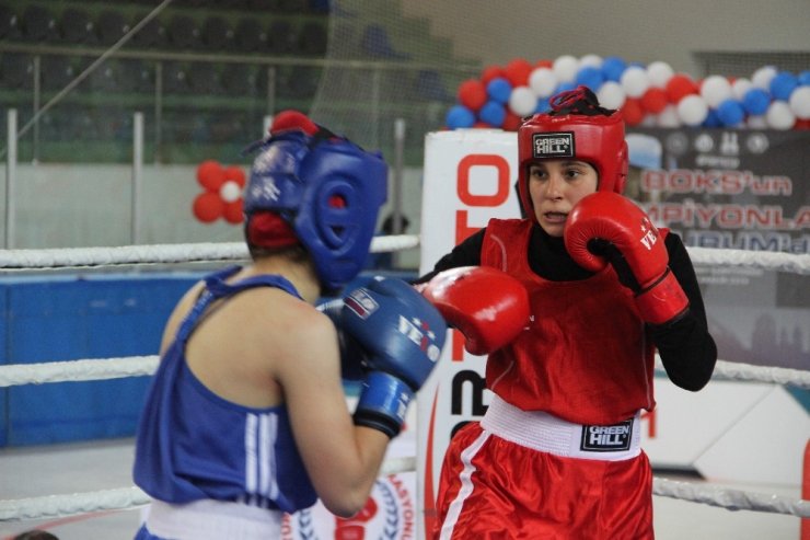 Erzurum’da boks heyecanı