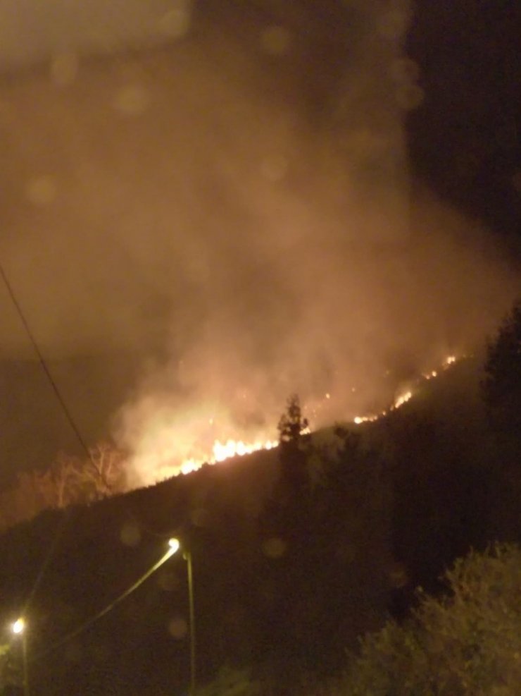 Rize’de 4 ayrı noktada örtü yangını