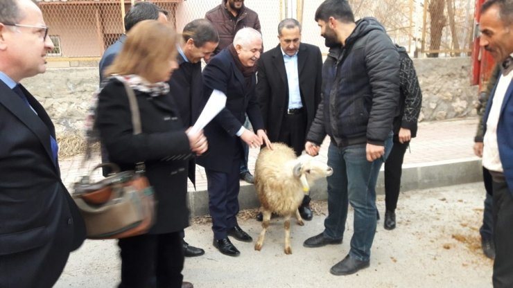 Milletvekili Arvas, “Küçükbaş hayvancılık Van için büyük bir sektördür”