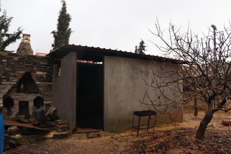 Elbay cinayetinde Zeynep Ergül de tutuklandı