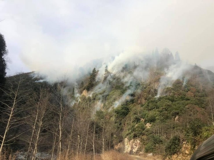 Rize’nin Ardeşen ilçesindeki örtü yangını 3 gündür aralıksız devam ediyor