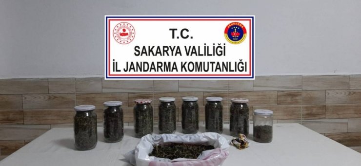 Sakarya’da uyuşturucu operasyonu: 1 tutuklama