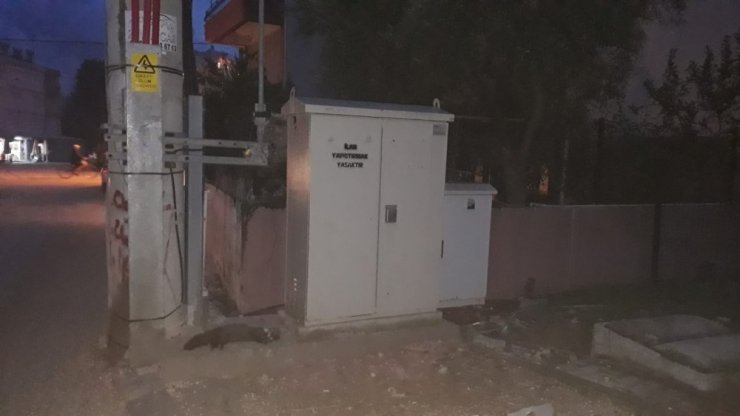 Isınmak için elektrik panosuna giren sansar akıma kapılıp öldü