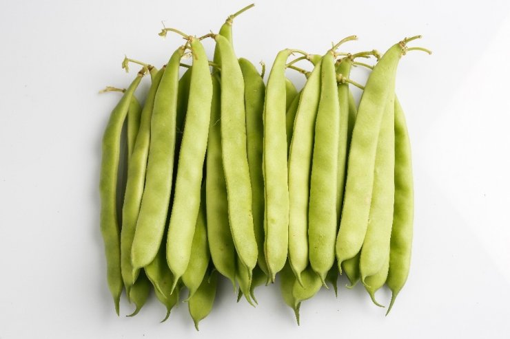 Avrupa Yatırım ve Kalkınma Bankası’ndan MAY Tohum’a yatırım desteği