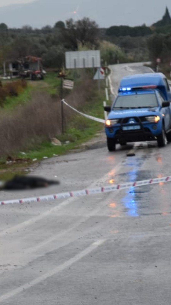 İzmir’de yol kenarında bulunan cesedin sırrı çözüldü