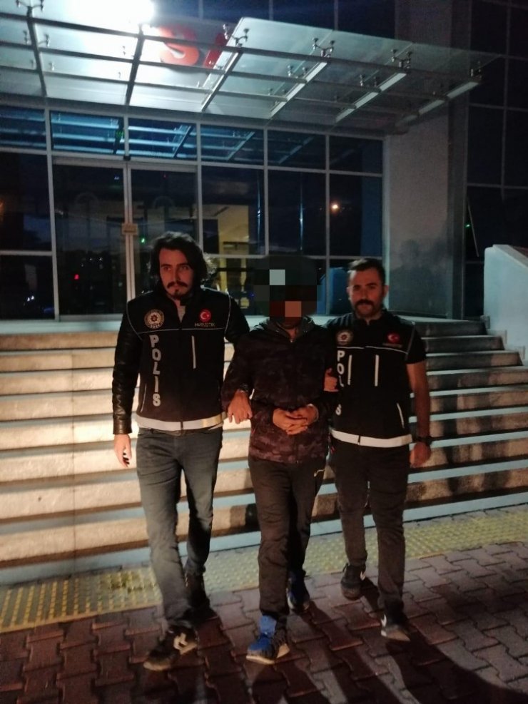Köy evinde 40 kök kenevir ele geçirildi, şüpheli şahıs tutuklandı