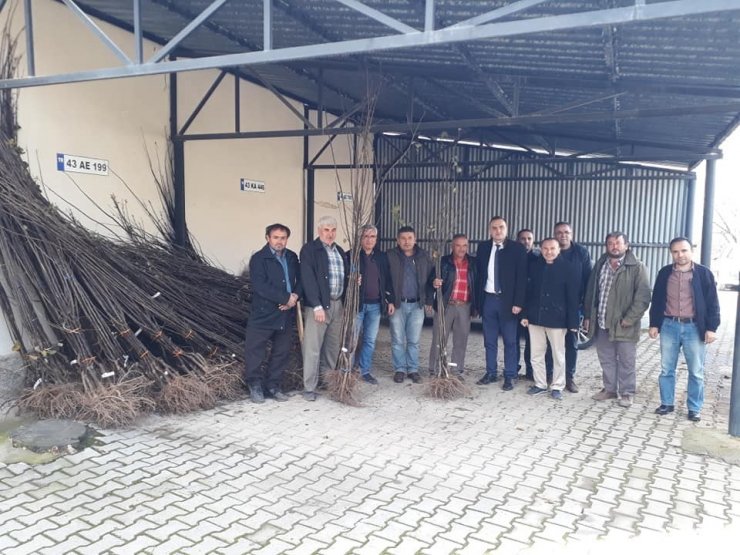 Kütahya İl Özel İdaresi’nden ayva fidanı desteği