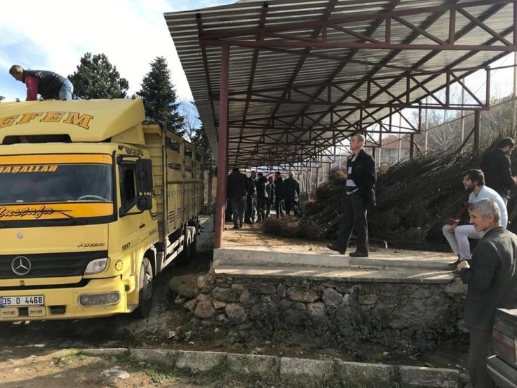 Kütahya İl Özel İdaresi’nden ayva fidanı desteği