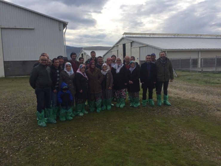 Demirci’de sürü yönetimi elemanı kursuna yoğun ilgi