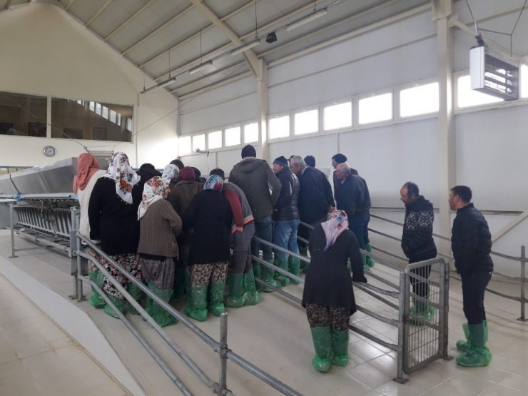 Demirci’de sürü yönetimi elemanı kursuna yoğun ilgi