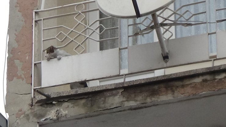 İnegöl’de ilginç kedi kurtarma operasyonu