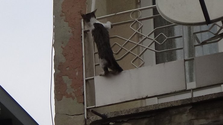 İnegöl’de ilginç kedi kurtarma operasyonu