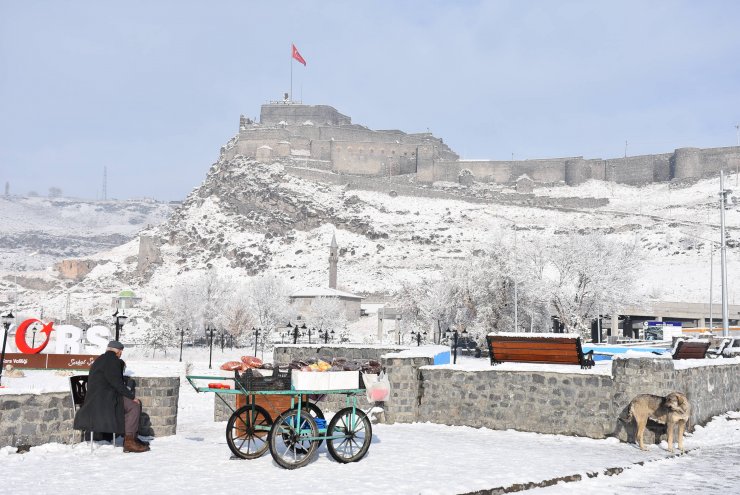 Doğu Anadolu'da kış