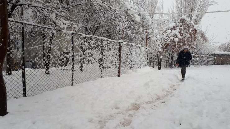 Şırnak'ta kar yağışı hayatı olumsuz etkiledi