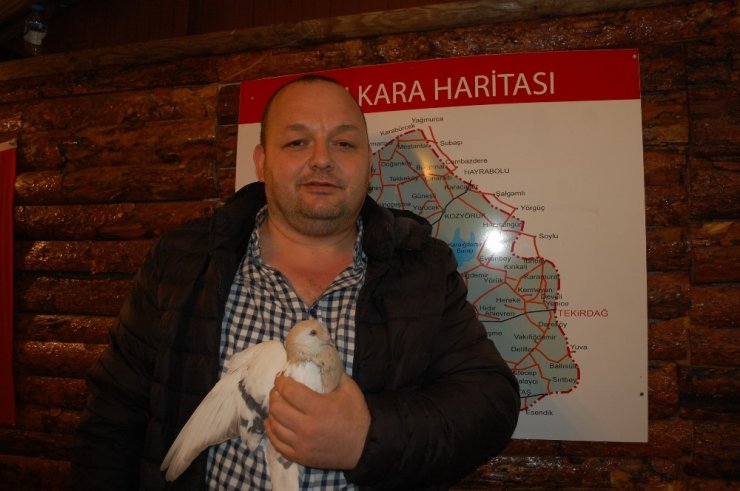 Soğukta aç kalan güvercin taksi durağına sığındı