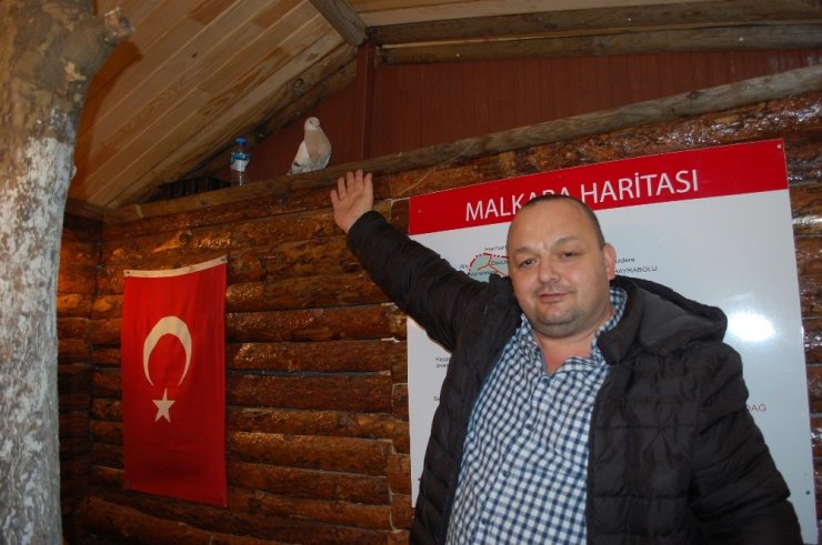 Soğukta aç kalan güvercin taksi durağına sığındı