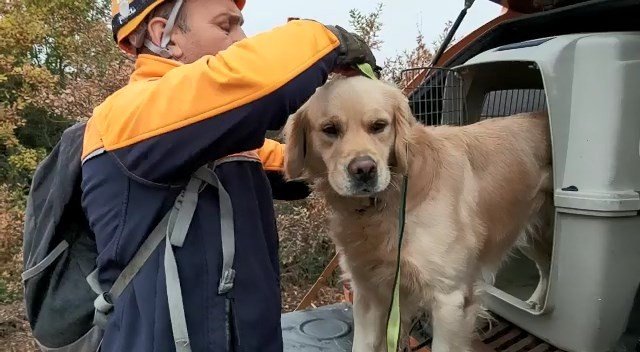 Kayıp çiftçi köpekli ekiplerle aranıyor