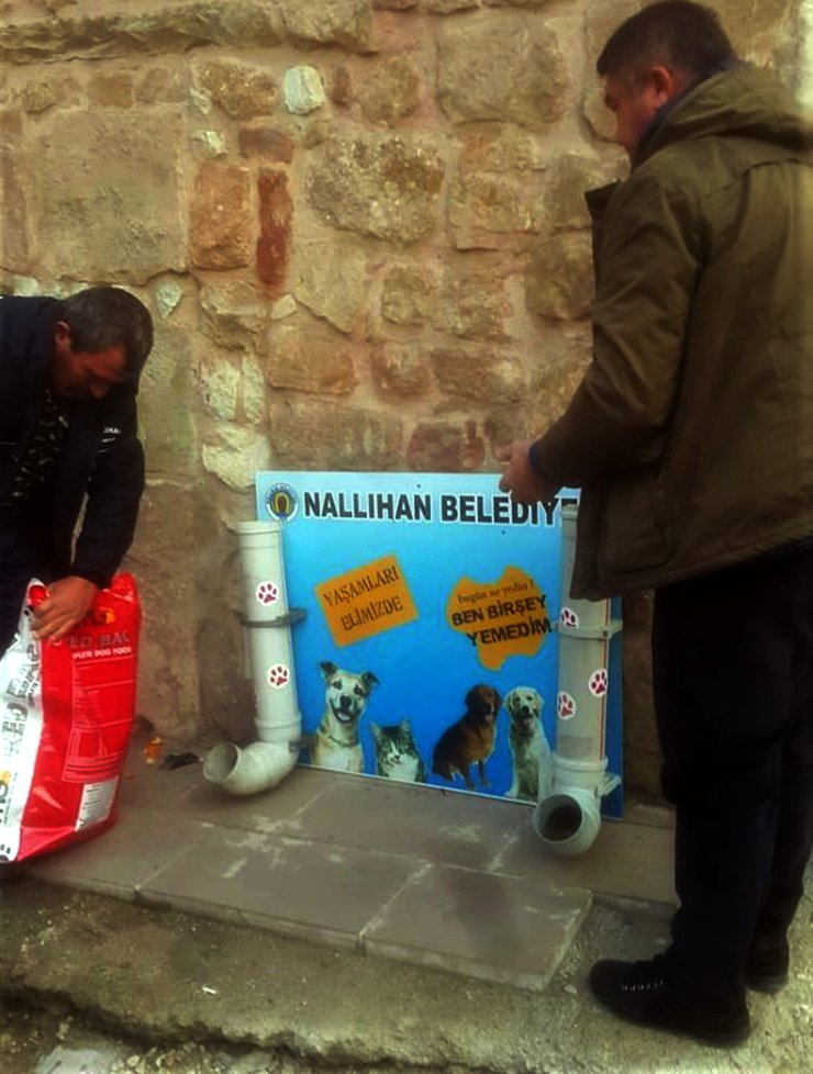 Nallıhan Belediyesi'nden sokak hayvanlarına yem
