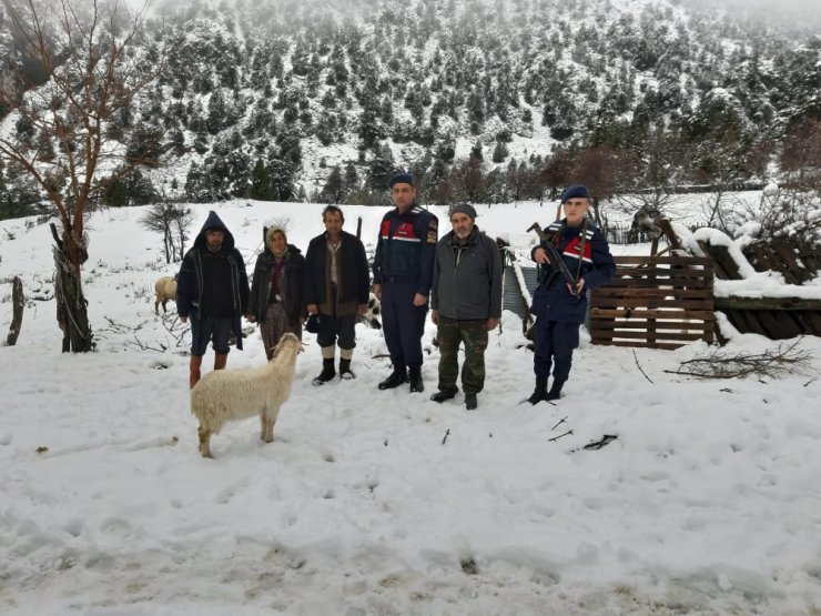 Yaylada 120 hayvan ile mahsur kaldılar