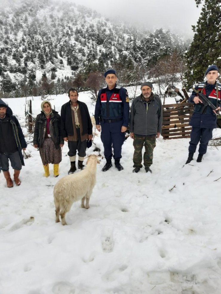 Yaylada 120 hayvan ile mahsur kaldılar