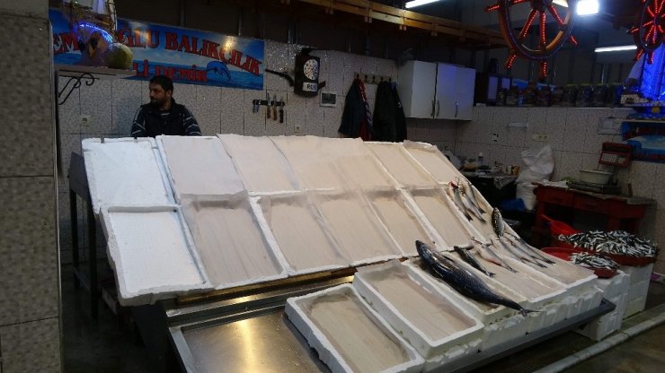 Balıkçı esnafının gözü Gürcistan’dan gelecek hamside