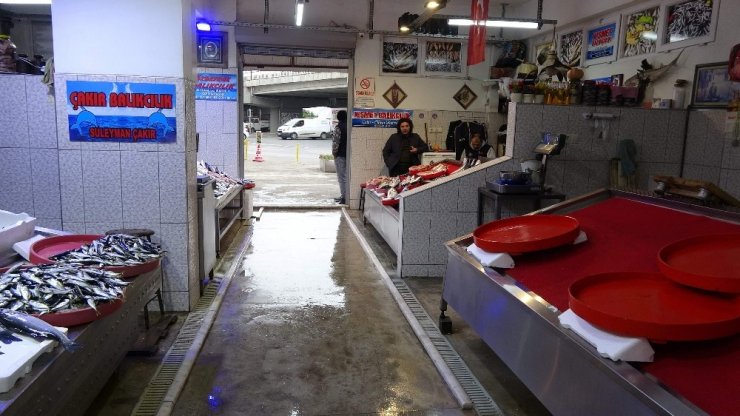 Balıkçı esnafının gözü Gürcistan’dan gelecek hamside