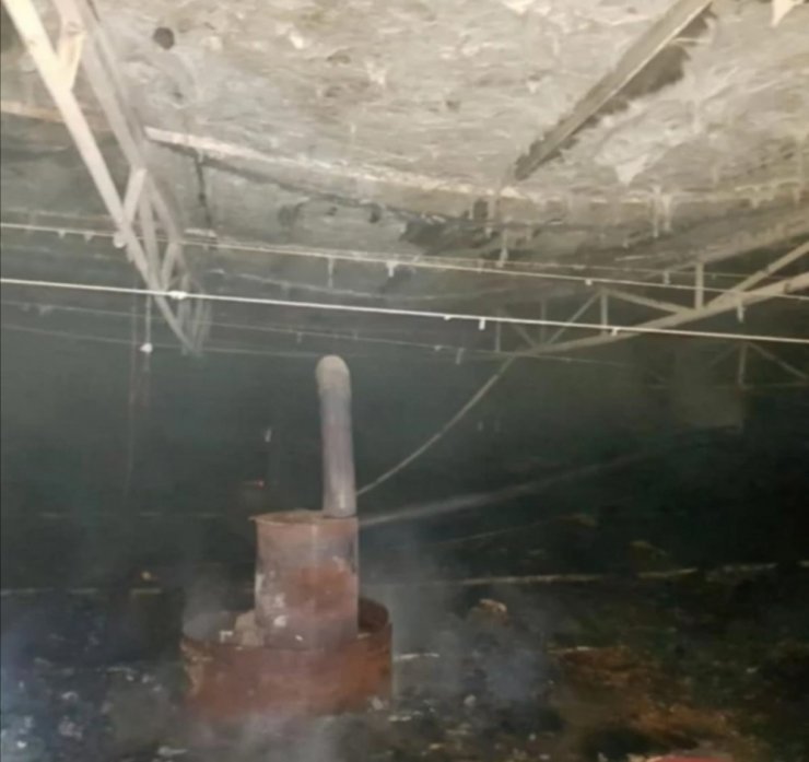 Mersin’de tavuk çiftliğinde yangın