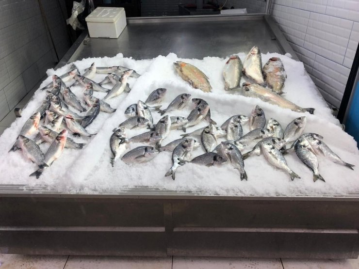 Olumsuz hava tezgahlara yansıdı