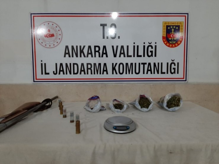 Jandarma samanlıkta saklanan esrarı narkotik köpekler yardımıyla buldu