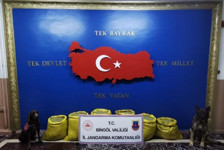 Bingöl’de İl Jandarma Komutanlığı 3 operasyonda 664 kilo uyuşturucu ele geçirildi