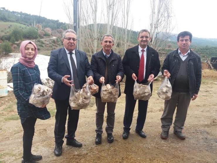 Genç Çiftçi Projesi ile istiridye mantarı üretimine başladı