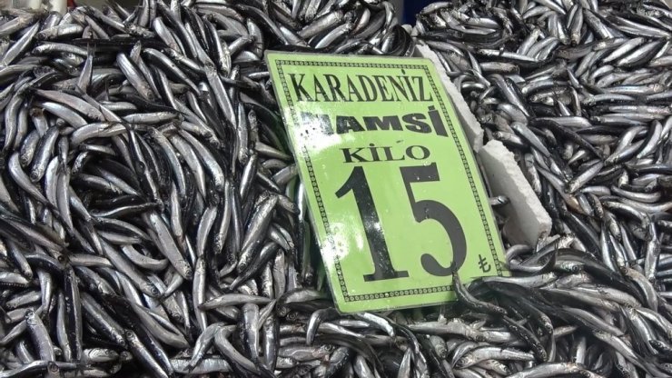 Hamsi Rusya ve Gürcistan’a kaçtı, vatandaşlar buzhane balığı tüketiyor