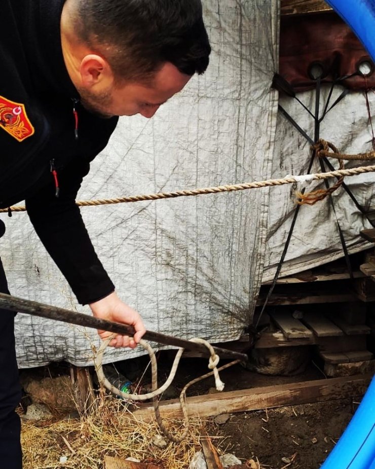 Tahta paletlerin altında sıkışan köpek itfaiye tarafından kurtarıldı
