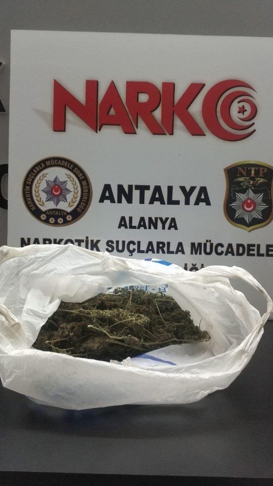 Polisin şüphe üzerine durdurduğu araçtan esrar çıktı