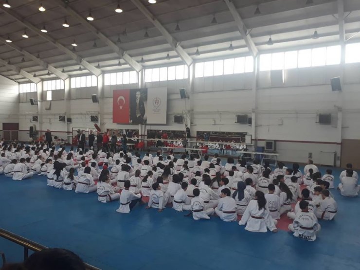 Emetborspor’un Taekwondo başarısı